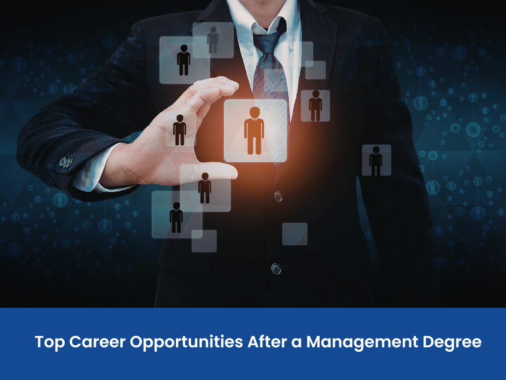 Top Career Opportunities After a Management Degree